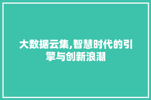 大数据云集,智慧时代的引擎与创新浪潮 搜狗优化
