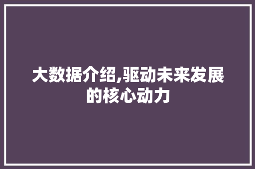 大数据介绍,驱动未来发展的核心动力 AI技术学习