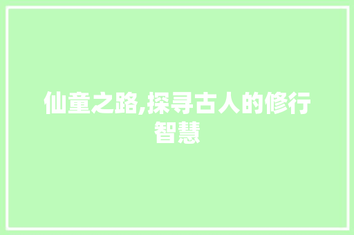 仙童之路,探寻古人的修行智慧 头条优化