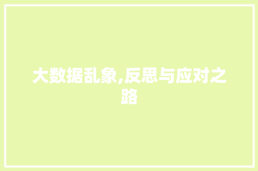大数据乱象,反思与应对之路