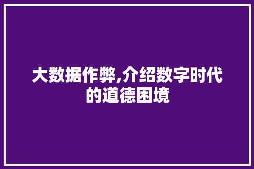 大数据作弊,介绍数字时代的道德困境