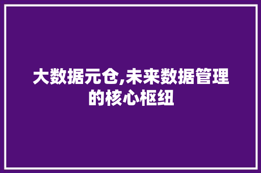大数据元仓,未来数据管理的核心枢纽