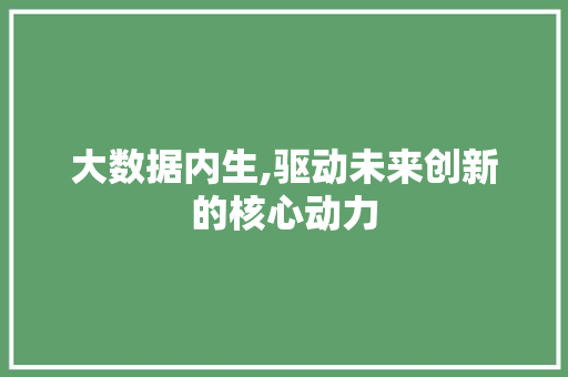 大数据内生,驱动未来创新的核心动力