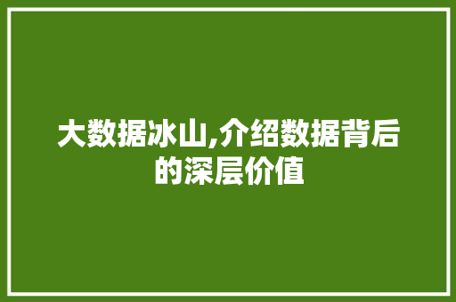 大数据冰山,介绍数据背后的深层价值 360搜优化