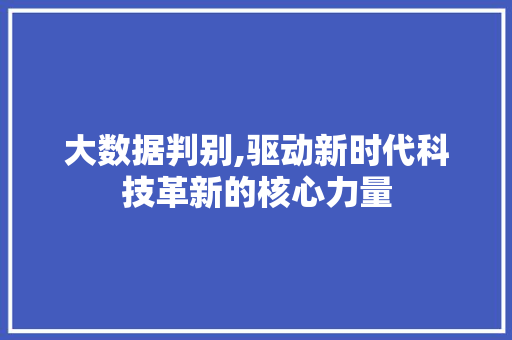 大数据判别,驱动新时代科技革新的核心力量
