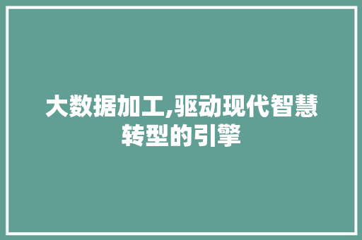 大数据加工,驱动现代智慧转型的引擎