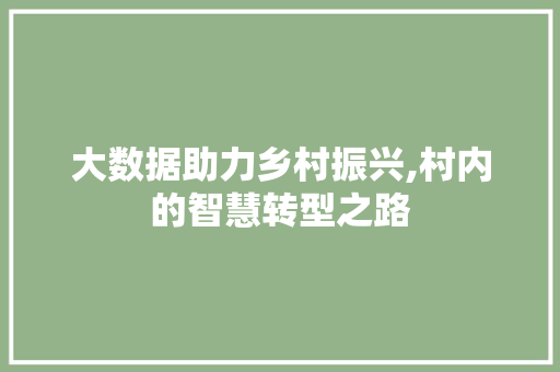 大数据助力乡村振兴,村内的智慧转型之路 AI技术学习