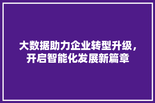 大数据助力企业转型升级，开启智能化发展新篇章