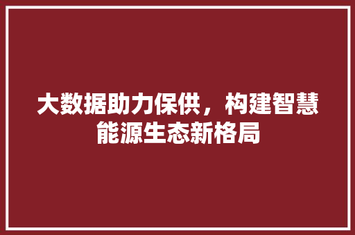 大数据助力保供，构建智慧能源生态新格局 头条优化