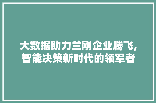 大数据助力兰刚企业腾飞,智能决策新时代的领军者 英文谷歌算法