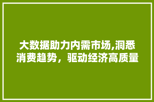 大数据助力内需市场,洞悉消费趋势，驱动经济高质量发展 搜狗优化
