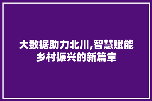 大数据助力北川,智慧赋能乡村振兴的新篇章 小程序开发