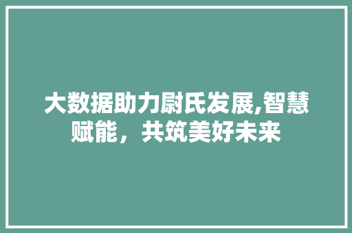 大数据助力尉氏发展,智慧赋能，共筑美好未来 AI技术学习