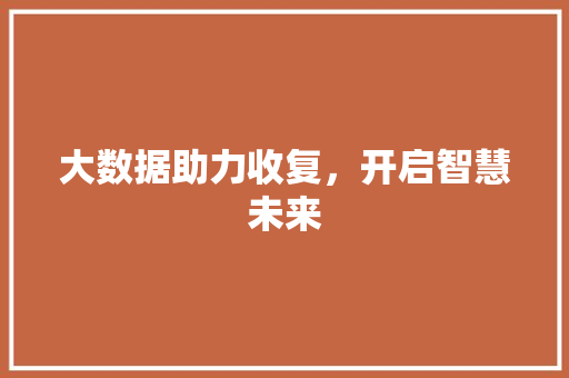 大数据助力收复，开启智慧未来 英文谷歌算法