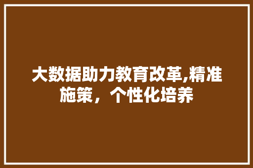 大数据助力教育改革,精准施策，个性化培养