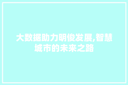 大数据助力明俊发展,智慧城市的未来之路 网站优化