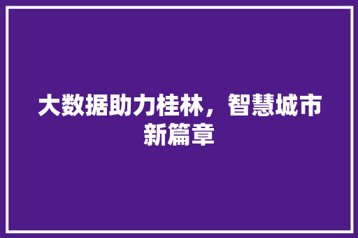 大数据助力桂林，智慧城市新篇章 网站开发