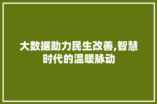 大数据助力民生改善,智慧时代的温暖脉动 网站开发