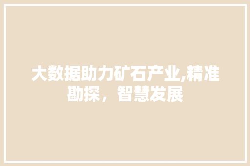 大数据助力矿石产业,精准勘探，智慧发展 英文谷歌算法