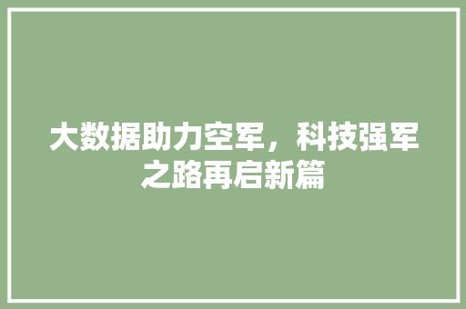大数据助力空军，科技强军之路再启新篇 搜狗优化
