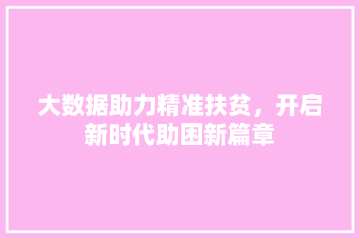 大数据助力精准扶贫，开启新时代助困新篇章 网站开发
