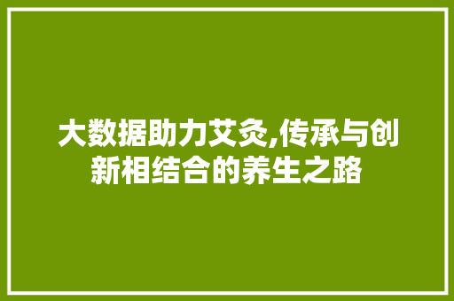 大数据助力艾灸,传承与创新相结合的养生之路