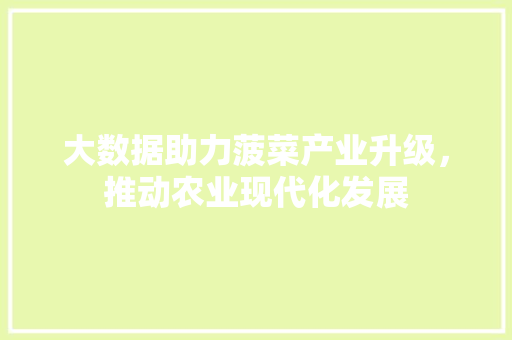 大数据助力菠菜产业升级，推动农业现代化发展 网站开发