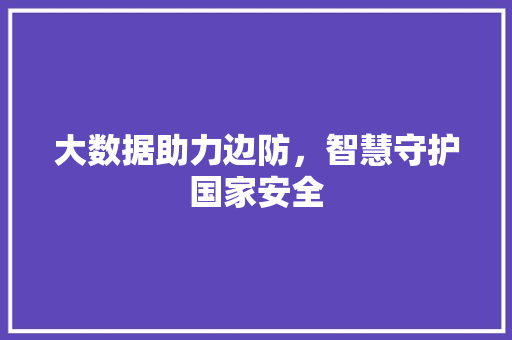 大数据助力边防，智慧守护国家安全