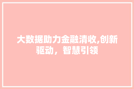 大数据助力金融清收,创新驱动，智慧引领 seo技术