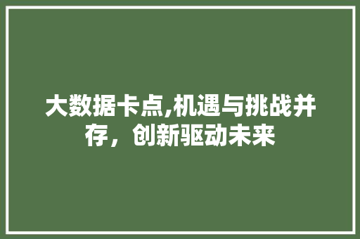大数据卡点,机遇与挑战并存，创新驱动未来