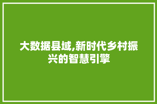 大数据县域,新时代乡村振兴的智慧引擎