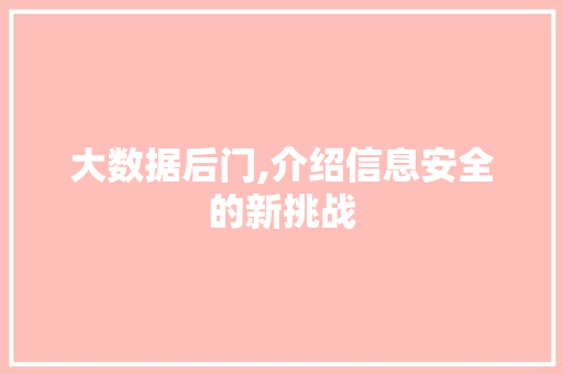 大数据后门,介绍信息安全的新挑战