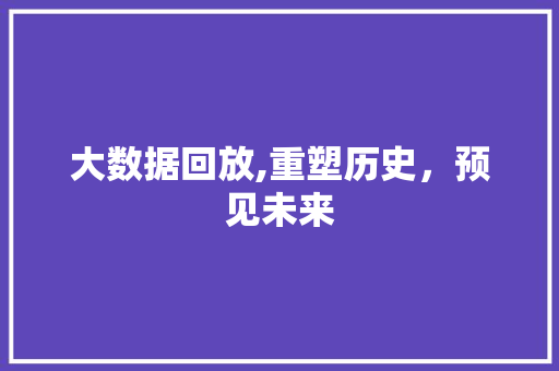 大数据回放,重塑历史，预见未来