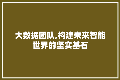 大数据团队,构建未来智能世界的坚实基石 网站优化