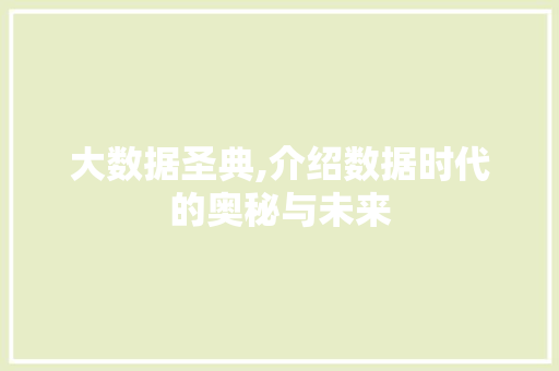 大数据圣典,介绍数据时代的奥秘与未来 网站优化