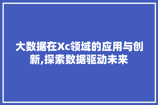 大数据在Xc领域的应用与创新,探索数据驱动未来 网站优化