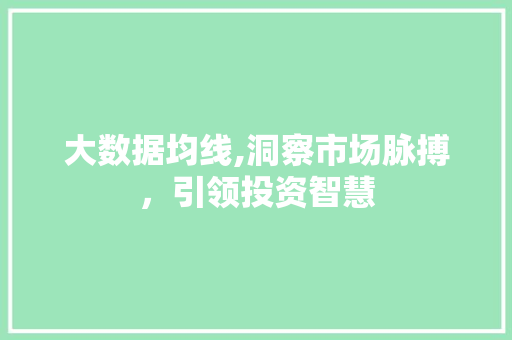 大数据均线,洞察市场脉搏，引领投资智慧