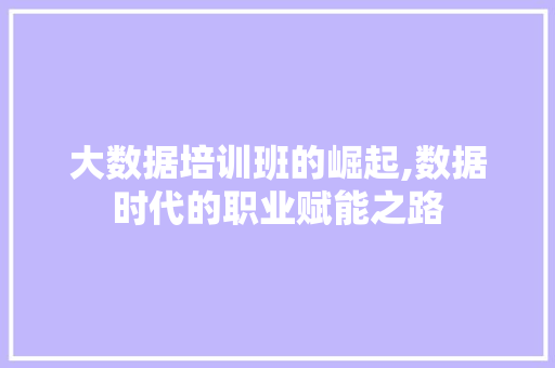 大数据培训班的崛起,数据时代的职业赋能之路