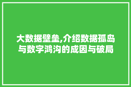 大数据壁垒,介绍数据孤岛与数字鸿沟的成因与破局