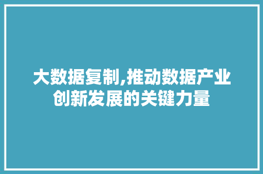 大数据复制,推动数据产业创新发展的关键力量