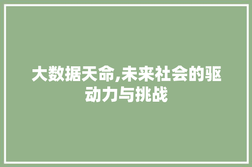 大数据天命,未来社会的驱动力与挑战