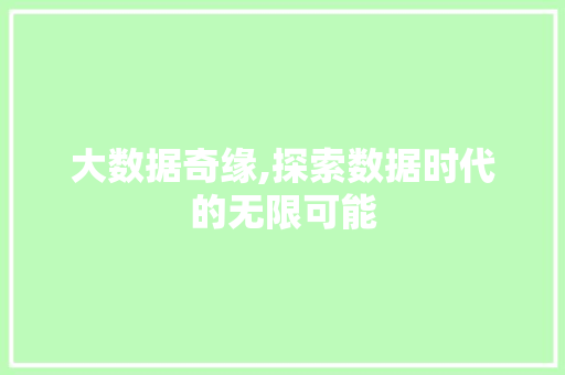 大数据奇缘,探索数据时代的无限可能 小程序开发