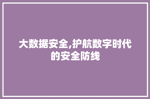 大数据安全,护航数字时代的安全防线