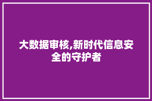大数据审核,新时代信息安全的守护者 头条优化