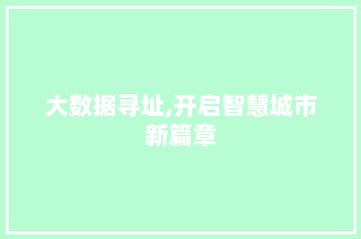 大数据寻址,开启智慧城市新篇章 网站优化