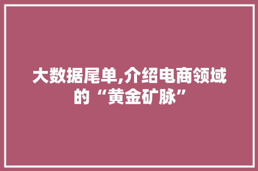 大数据尾单,介绍电商领域的“黄金矿脉”