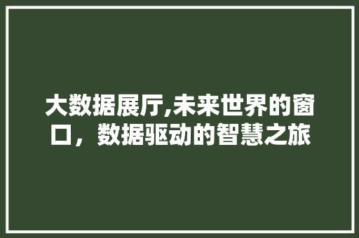 大数据展厅,未来世界的窗口，数据驱动的智慧之旅 网站开发