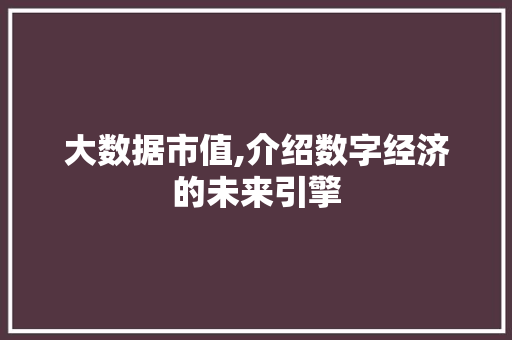大数据市值,介绍数字经济的未来引擎 小程序开发