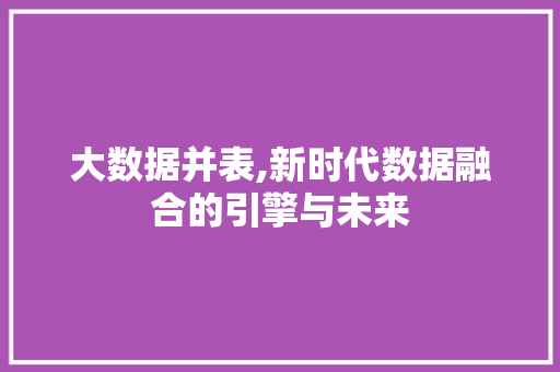 大数据并表,新时代数据融合的引擎与未来