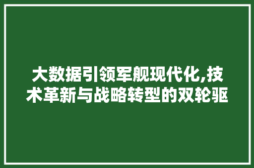 大数据引领军舰现代化,技术革新与战略转型的双轮驱动